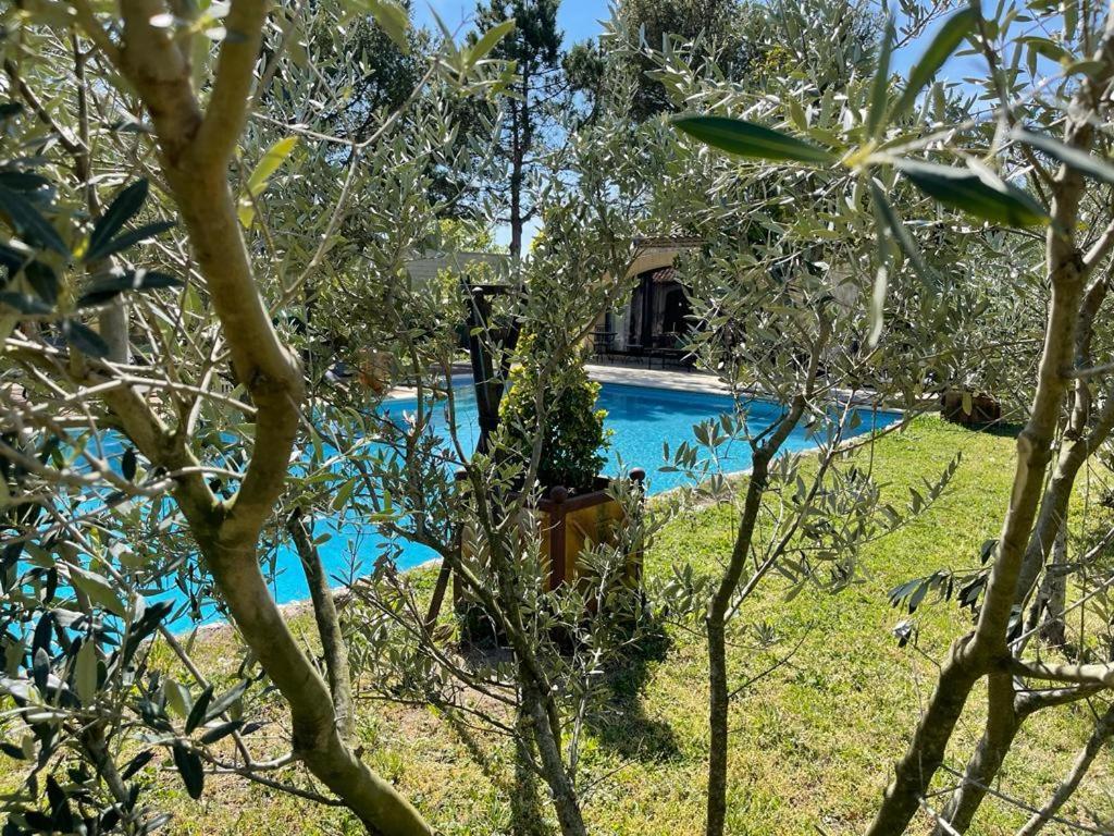 Gite Au Coeur De La Provence & Spa Saint-Cannat Exterior photo